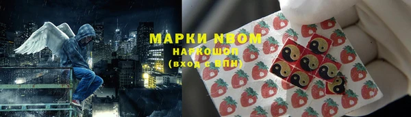 индика Алексеевка
