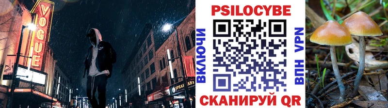 Псилоцибиновые грибы GOLDEN TEACHER  Чухлома 